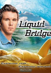 Liquid Bridge