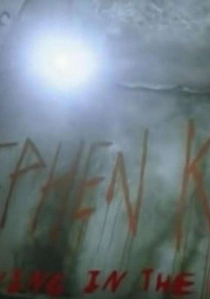 Stephen King: Shining in the Dark