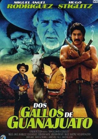 Dos gallos de Guanajuato