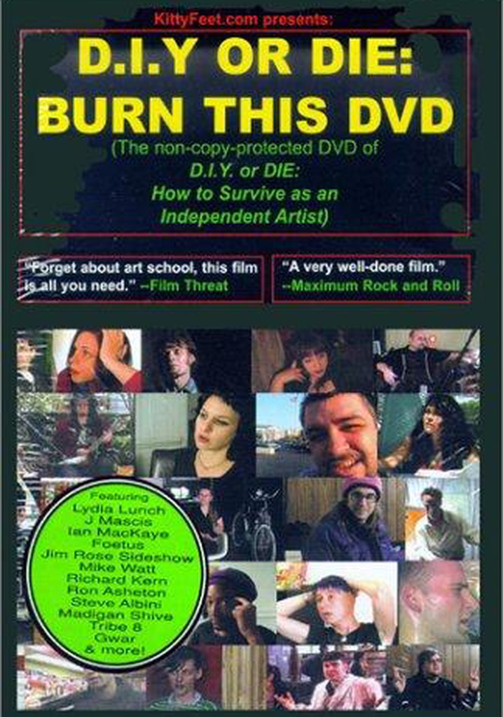 D.I.Y. or Die: How to Survive as an Independent Artist