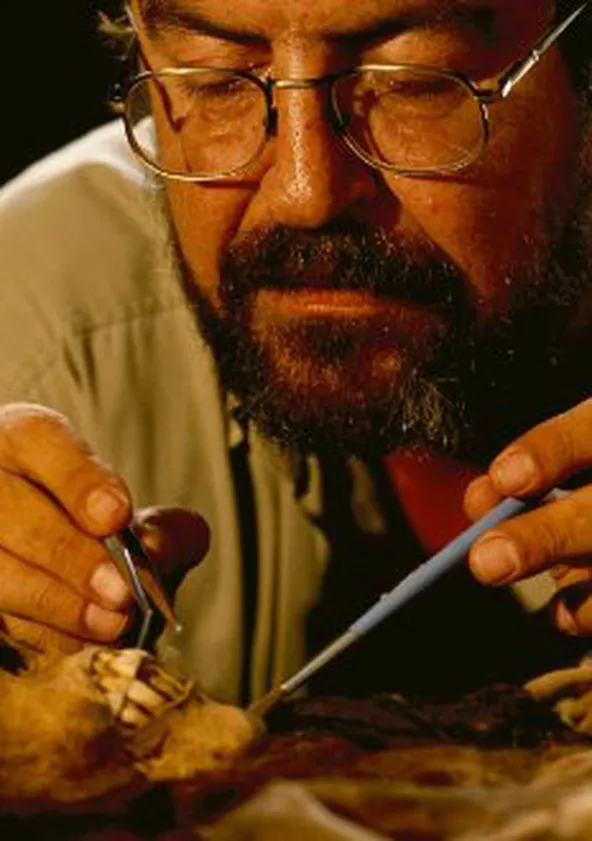 National Geographic Inca Mummies Secrets Of Lost Empire National Geographic Inca Mummies Secrets Of Lost Empire