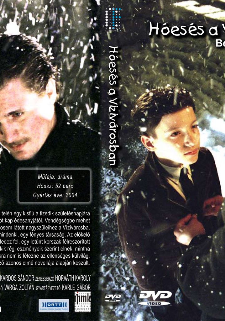 Hóesés a Vizivárosban