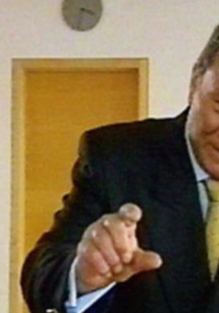 Aus Liebe zu Deutschland - Eine Spendenaffäre