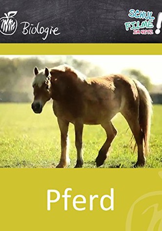 Das Pferd