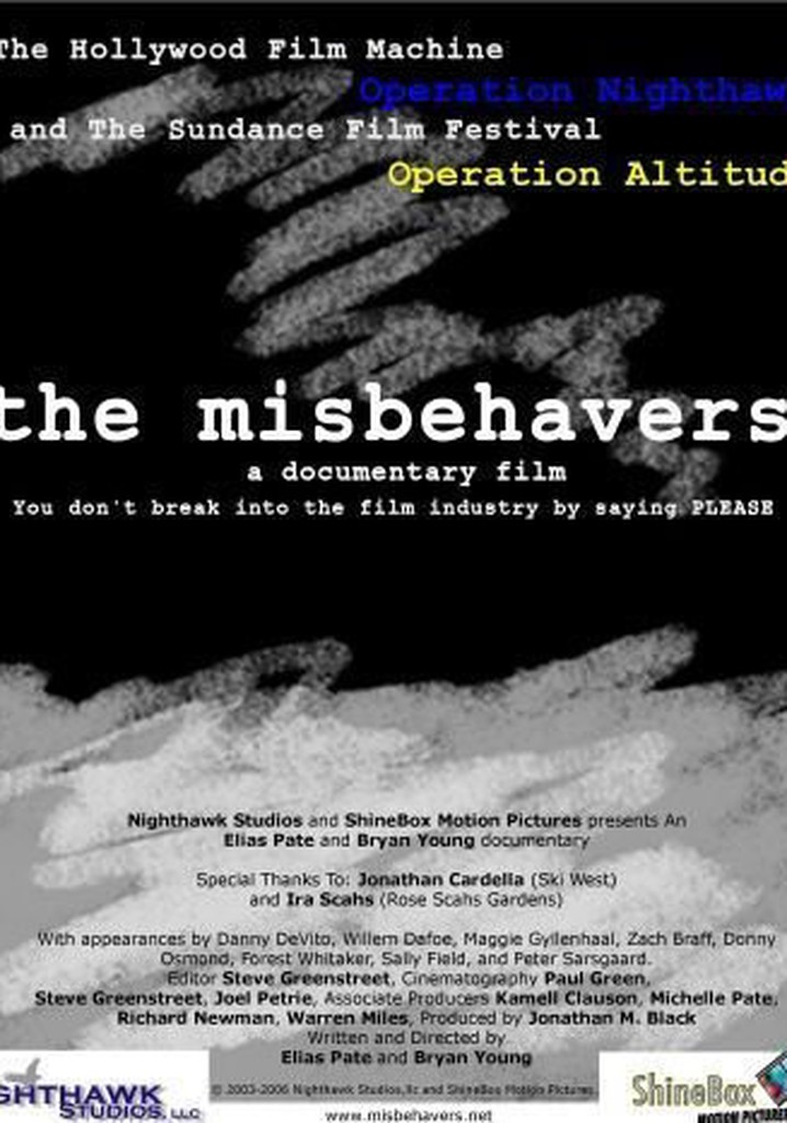 The Misbehavers