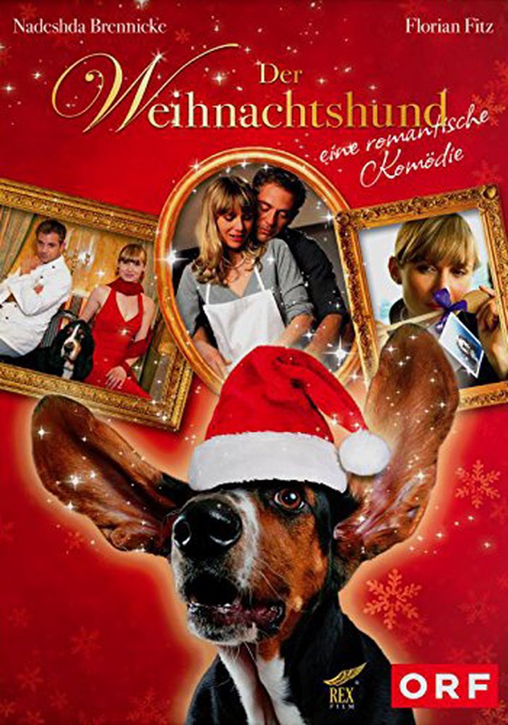 Der Weihnachtshund