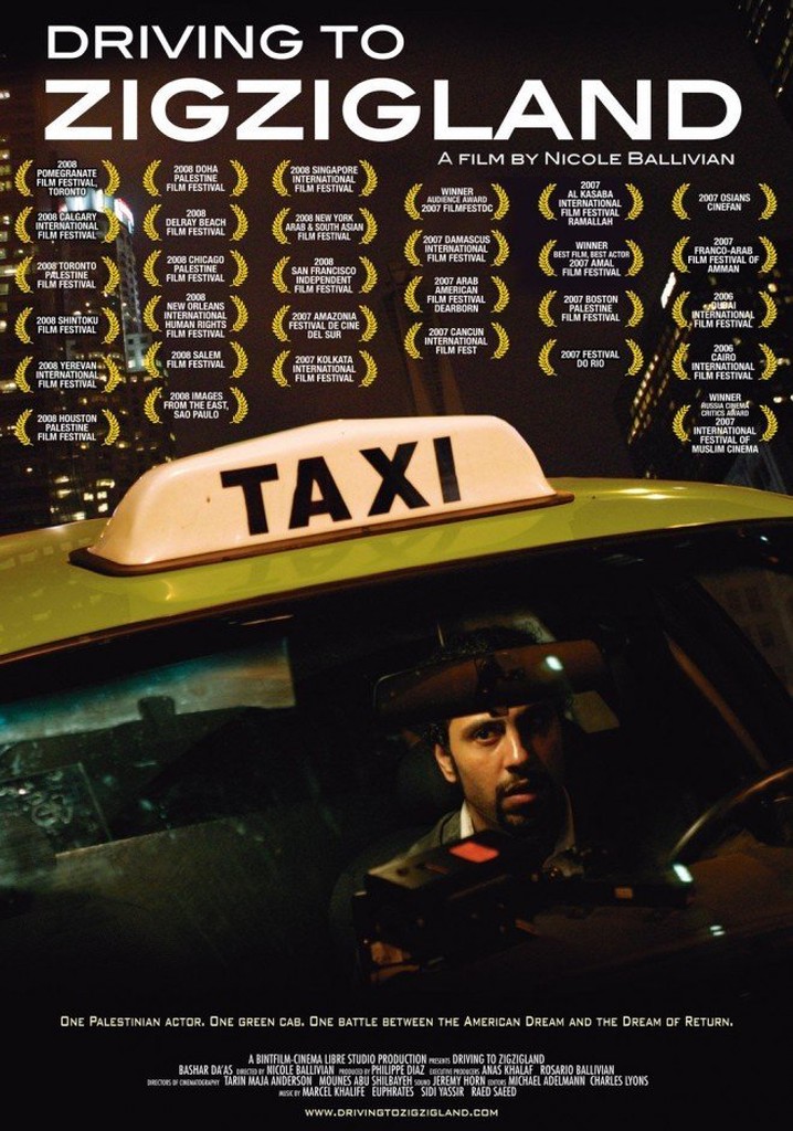 Driving to Zigzigland