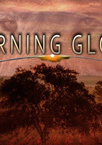 Morning Glory