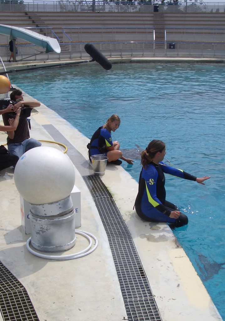 L'odyssée de la vie