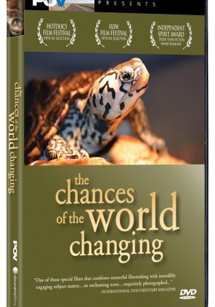 The Chances of the World Changing