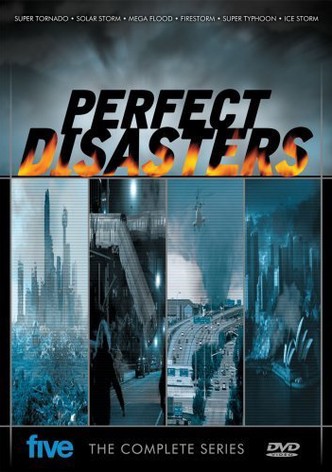 Perfect Disaster