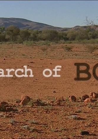 In Search of Bony