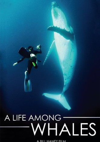 A Life Among Whales