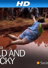 America: Wild & Wacky