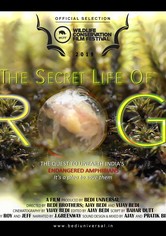 The Secret Life of Frogs