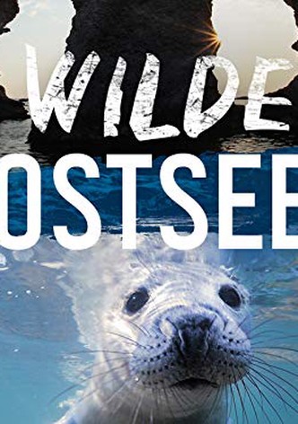 Wild Baltic Sea