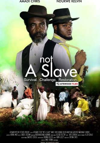 Not a Slave