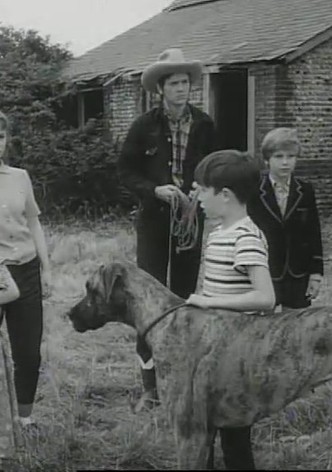 Beware of the Dog