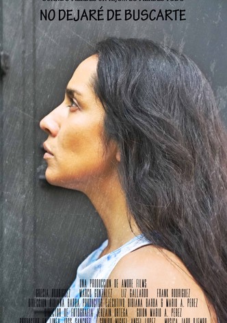 No dejaré de buscarte