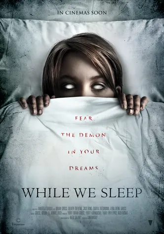 While We Sleep poster