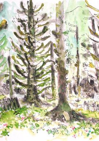 Mémoires de la terre