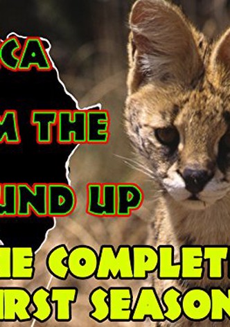 Africa from the Ground Up