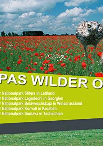 Europas wilder Osten