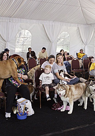 Greatest American Dog