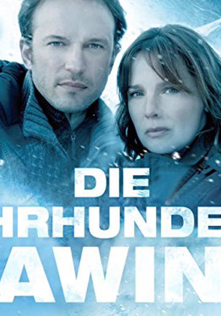 Die Jahrhundertlawine