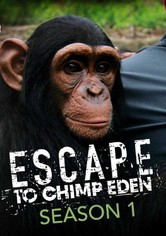 Escape to Chimp Eden