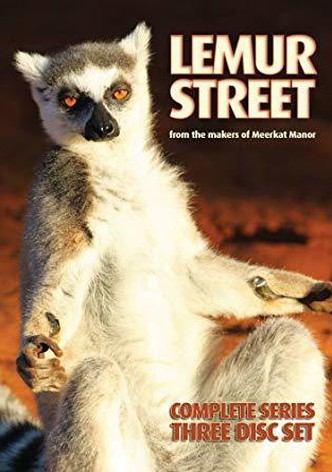 Lemur Street