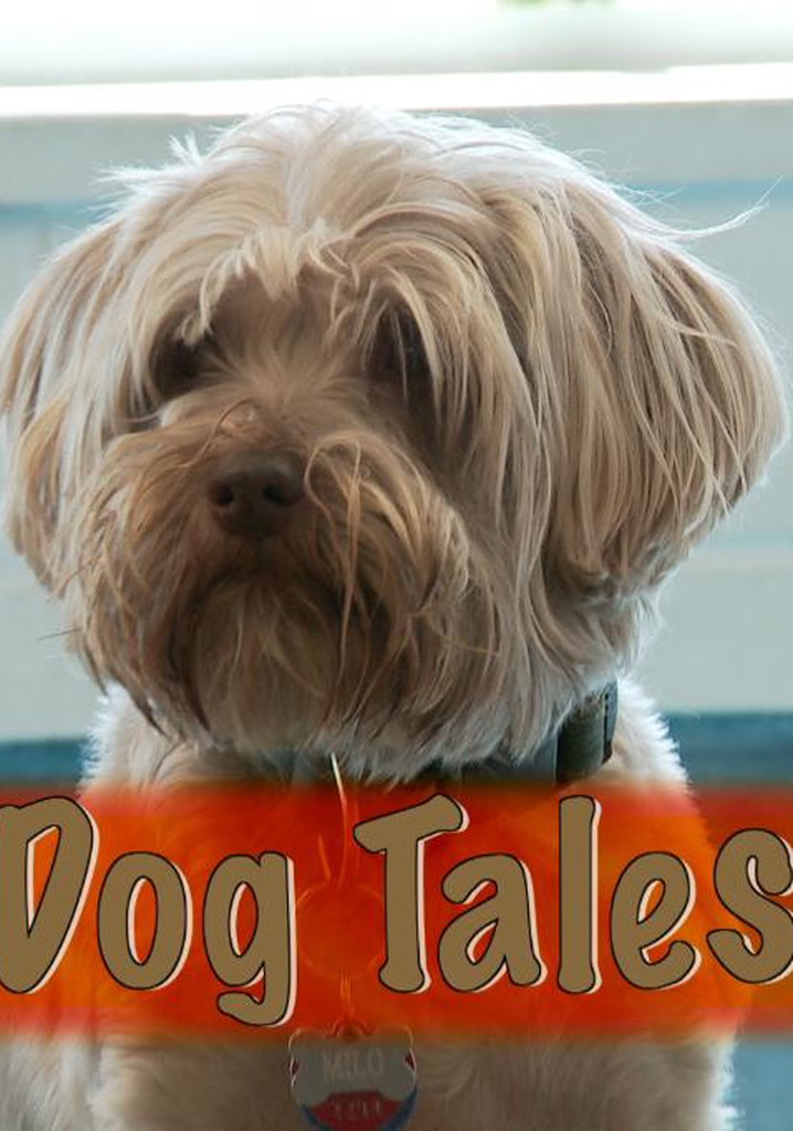 Dogs tales