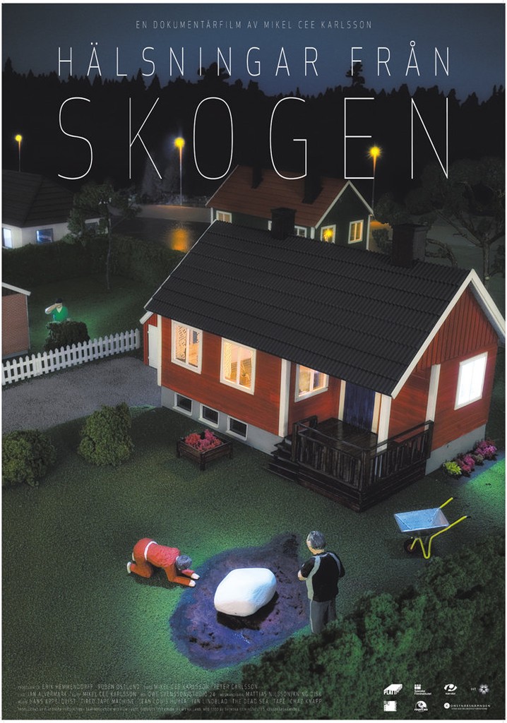 Greetings from the Woods