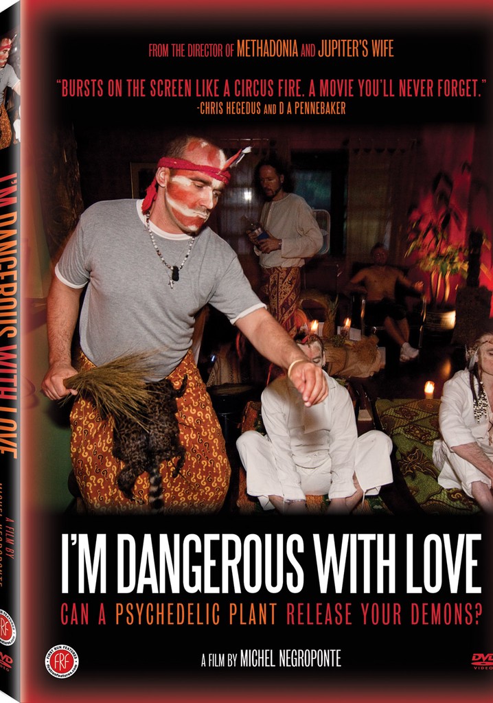 I'm Dangerous With Love