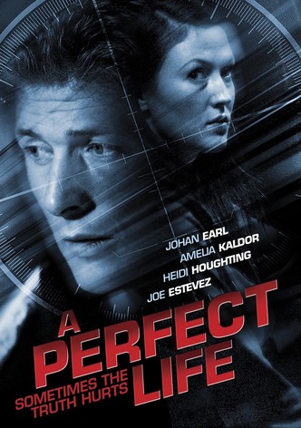A Perfect Life
