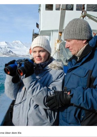 Sterne über dem Eis