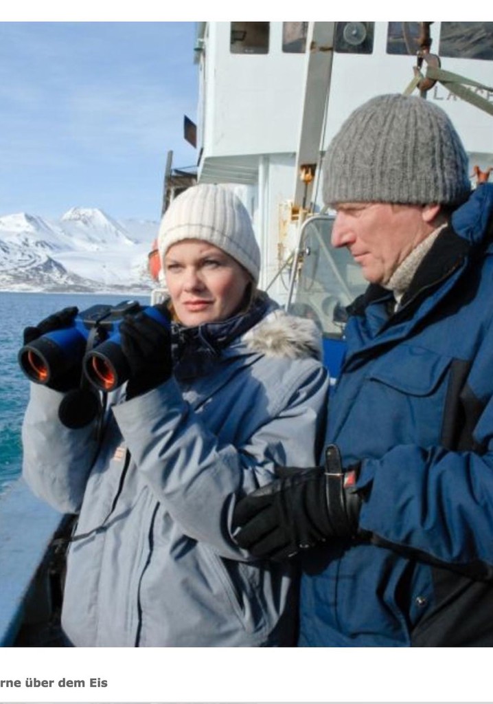 Sterne über dem Eis