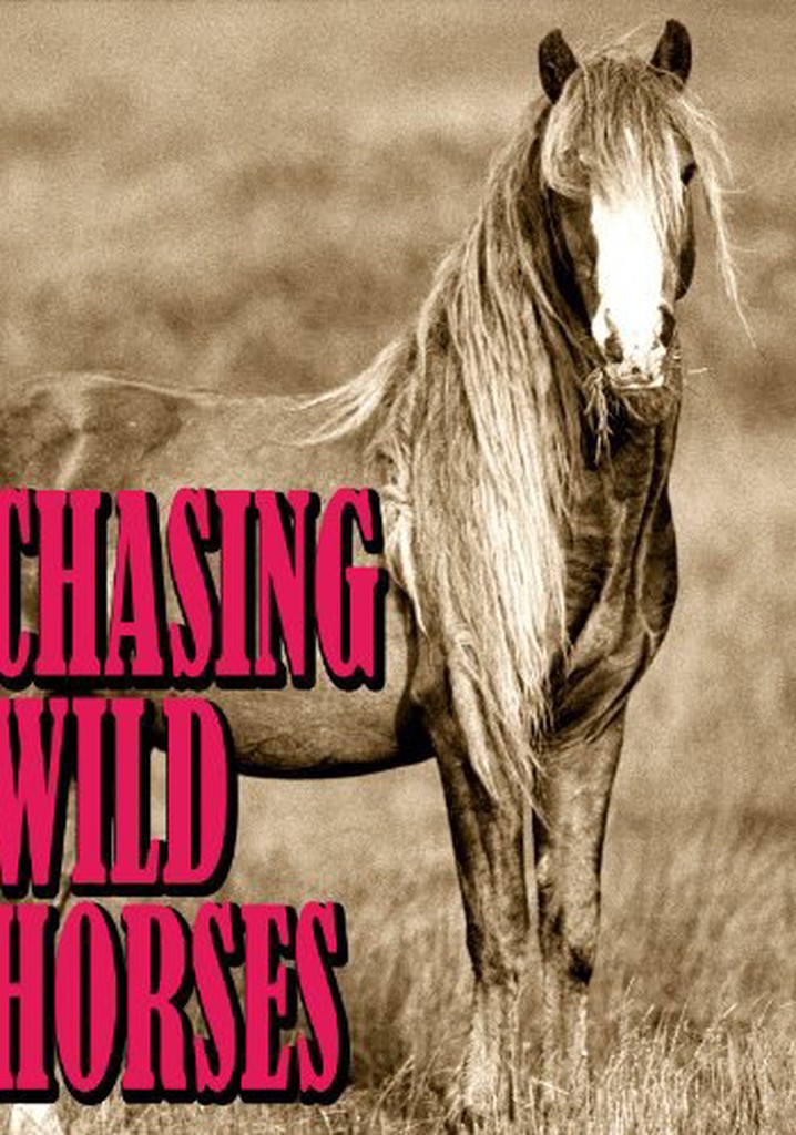 Chasing Wild Horses