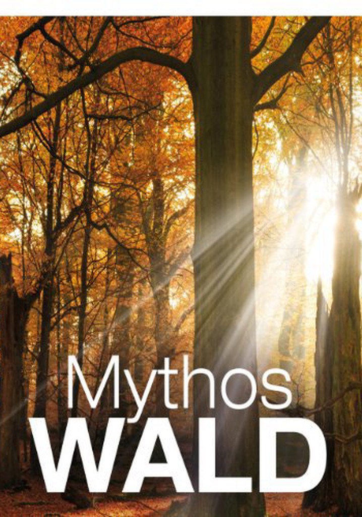 Mythos Wald