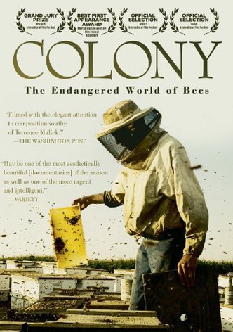 Colony