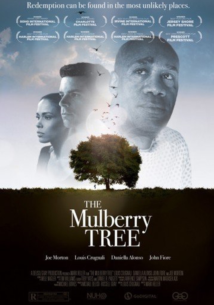 The Mulberry Tree