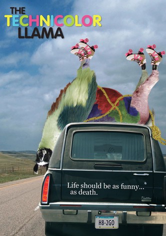 Technicolour Llama