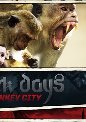 Dark Days in Monkey City