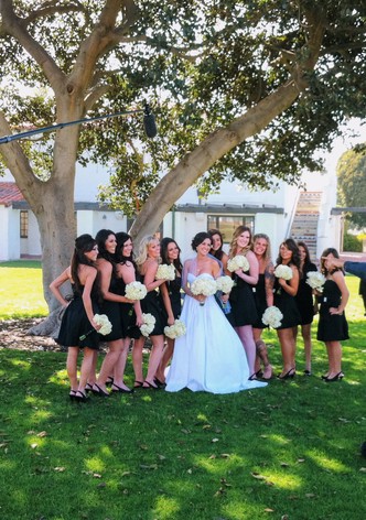 Momster of the Bride