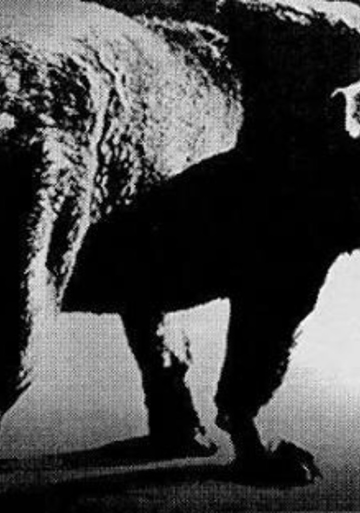 Daidō Moriyama: Stray Dog of Tokyo