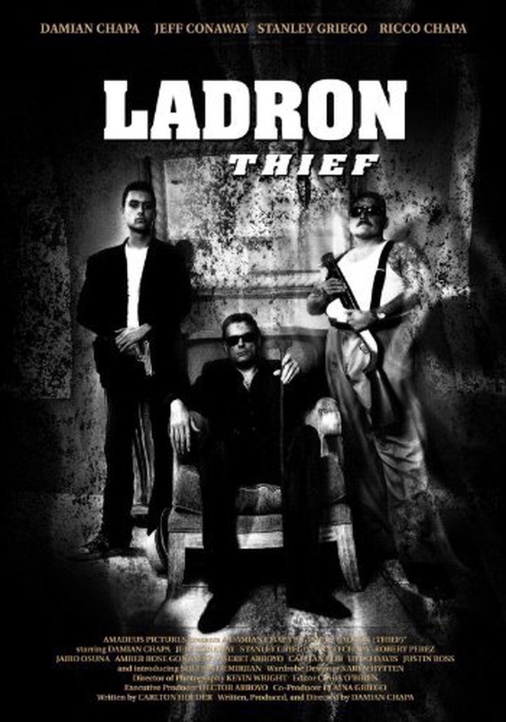 De Ladron A Policia Pelicula Completa En Español Ladron - película: Ver online completa en español