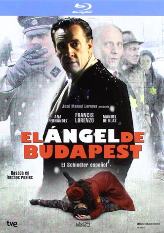 The Angel of Budapest