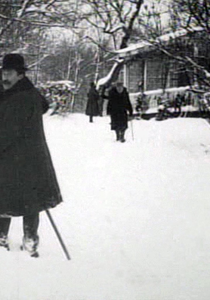 Tolstoi mit den Augen des Films