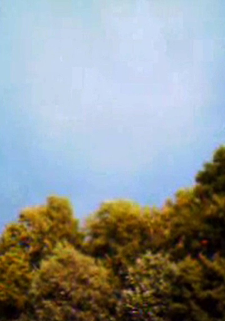 Because We Are Visual