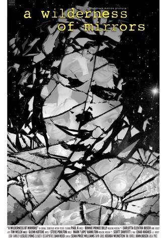 A Wilderness of Mirrors